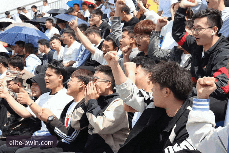 BWIN必赢网页版登录 从德国队绝杀看世界杯观赛必备知识:如何高效追踪赛事动态实用指南